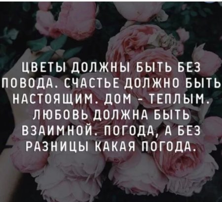 Цитаты про цветы