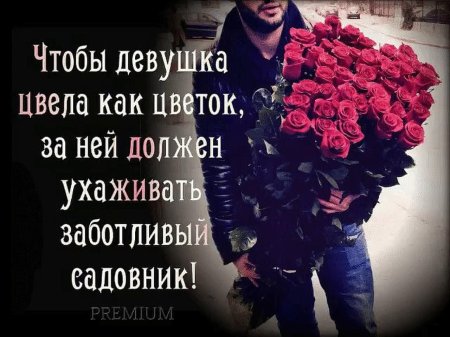 Цветы для девушки цитаты