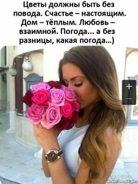 Фразы про цветы без повода