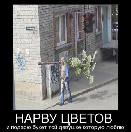 Нарву цветов и подарю букет той девушке которую люблю