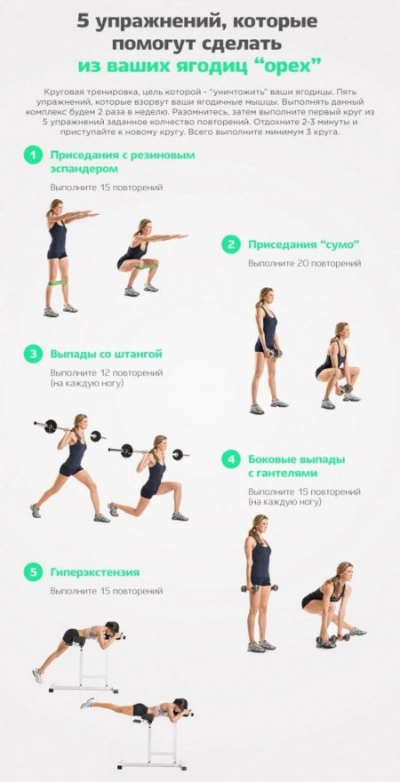 План тренировок в тренажерном зале для девушек на ягодицы