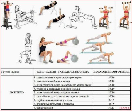 План тренировок в тренажерном зале для девушек для похудения