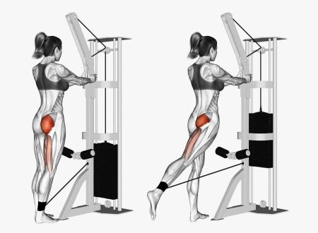 Упражнения на ягодичные мышцы