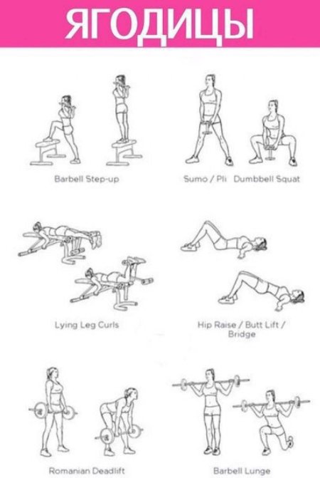 Тренировка на ягодицы в зале для девушек