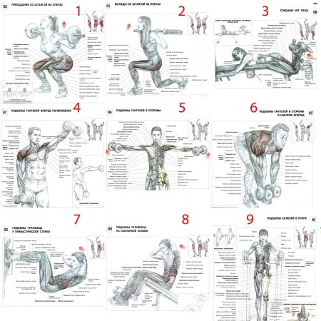 Упражнения на ноги и ягодицы в тренажерном зале