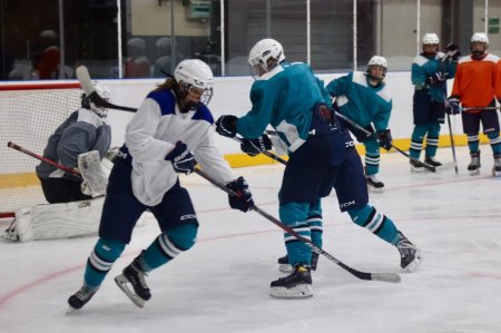 Professional women s hockey league