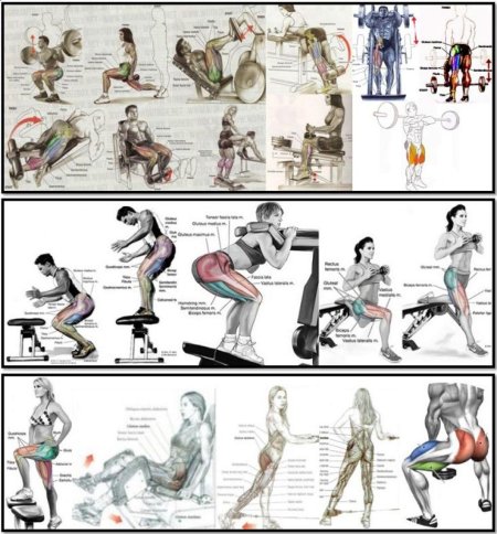 Базовые упражнения на ноги в тренажерном зале для мужчин