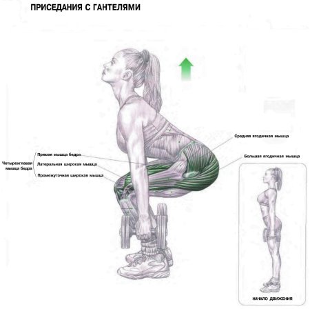 Упражнения для ягодиц приседания с гантелей