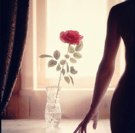 Цветок одиночества