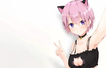 Mash kyrielight неко