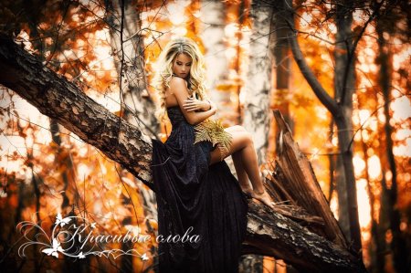 Фотосессия в лесу