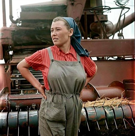 Анна Александровна Шепилова комбайнер