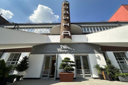 Дерево бонсай