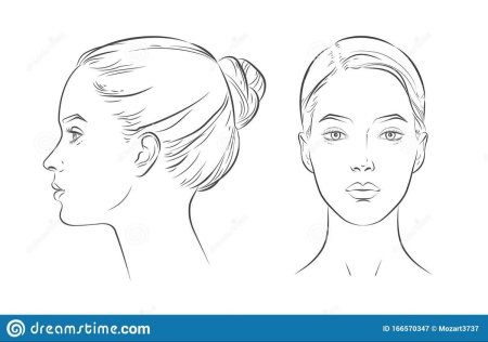 Схема головы человека в профиль и анфас