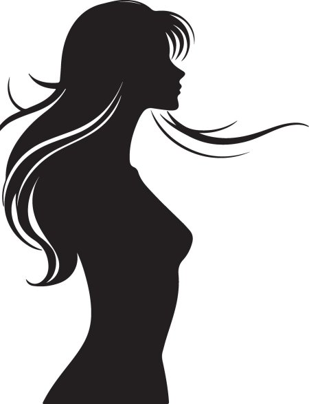 Силуэт девушек