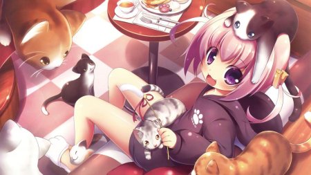 Кошка девочка аниме