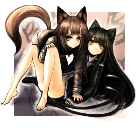 Аниме кошки