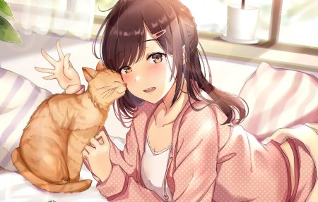 Аниме девочки котики