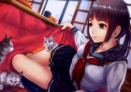 Аниме кошки