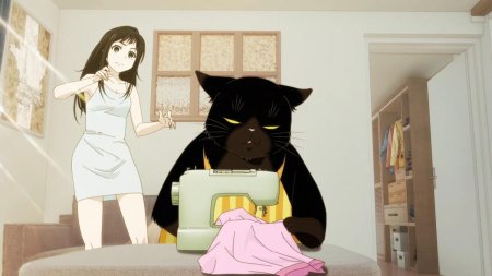 Кот Юкичи аниме