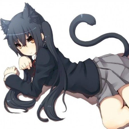 Адзуса Накано Cat