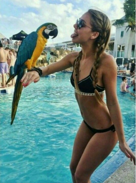 Девушка с попугаем