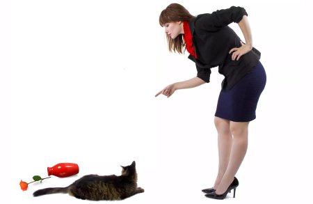 Девушка ругает кота