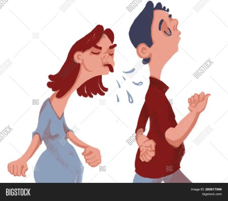 Пара ругается