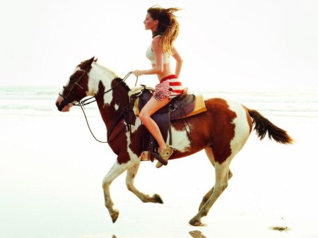 Лошадь девушка