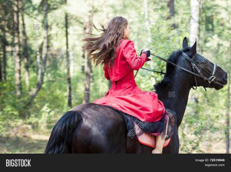 Девушка на коне