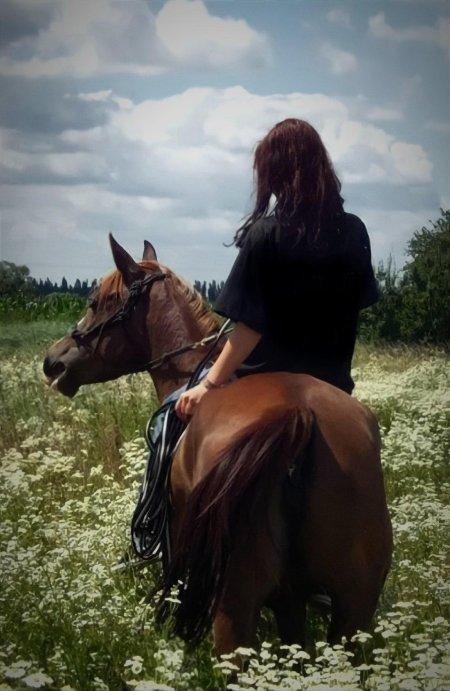 Девушка на коне