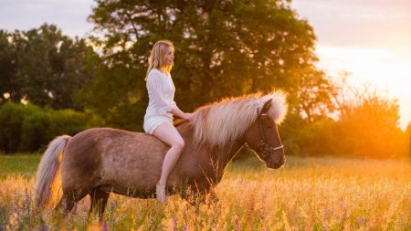 Красивая девушка на коне