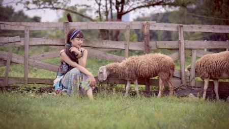 Овца девочка