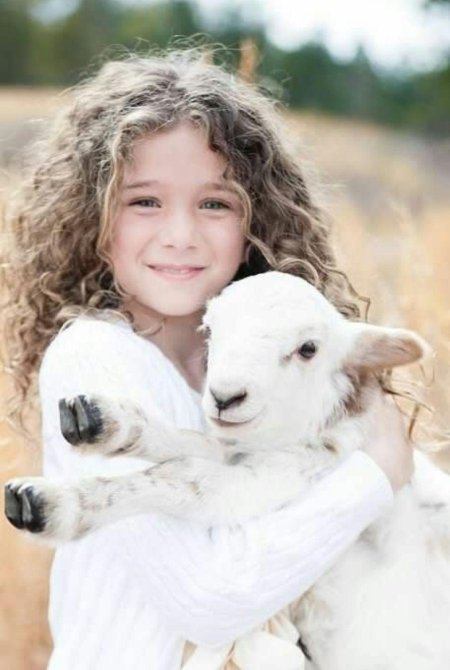 Девочка с ягненком