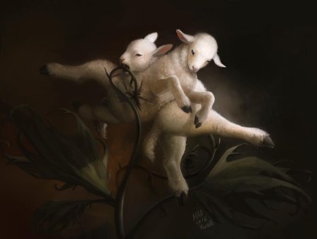 Баранец растение мифическое