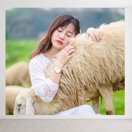 Девушка барашек