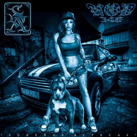 Девушка с питбулем