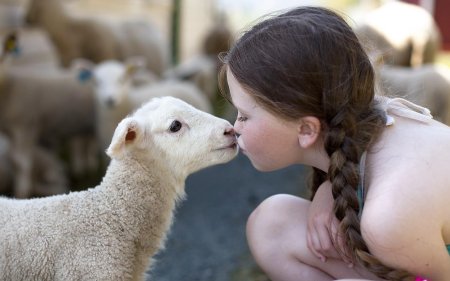 Девушка овца