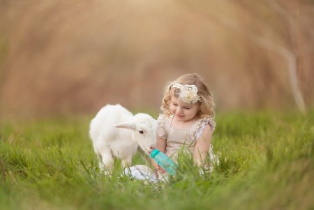 Девочка Овечка