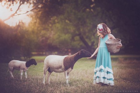 Фотосессия с овцами