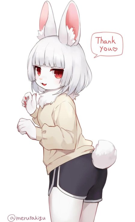 Фурри кролик