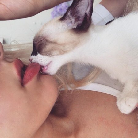 Девушка целует кота