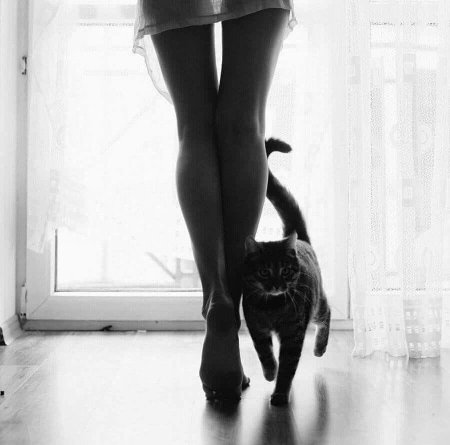 Девушка с котом