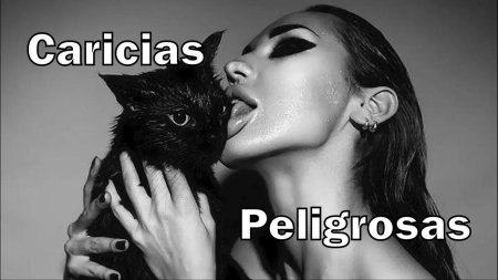 Девушка кошка