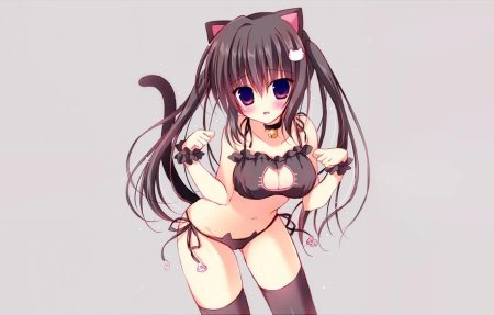 Neko эччи