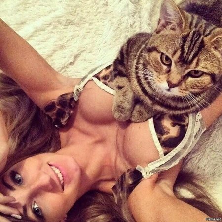 Красивые кисы девушек