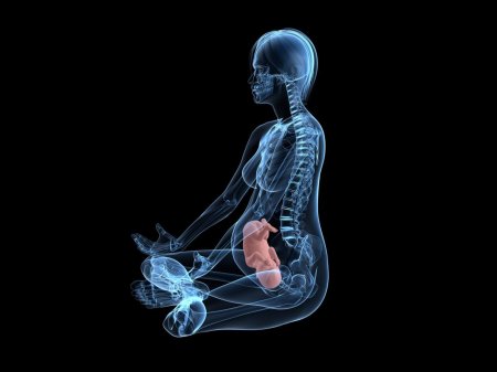 Беременная женщина рентген