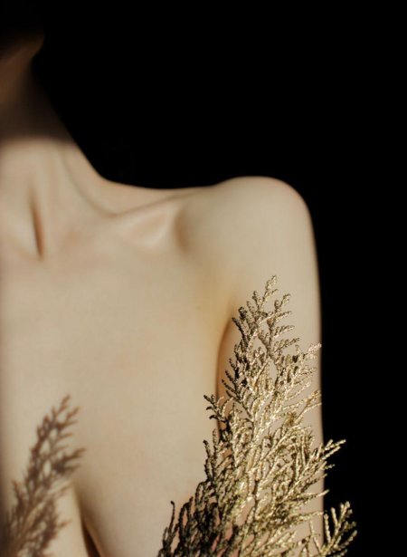 Эстетика женского тела