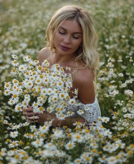 Ромашковое поле