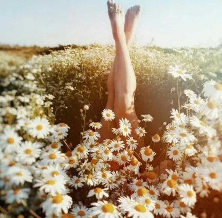 Девушка с ромашками